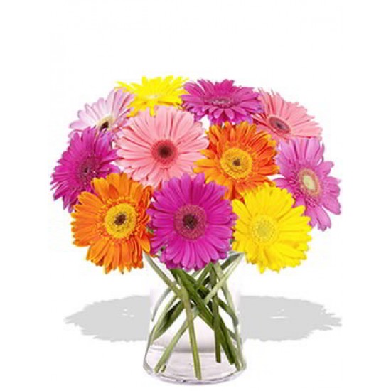 12 Mixed Color Gerberas Vase Bouquet