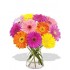 12 Mixed Color Gerberas Vase Bouquet