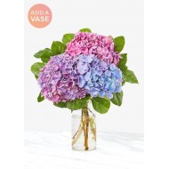 The Andrea Vase Bouquet - Three Hydrangea